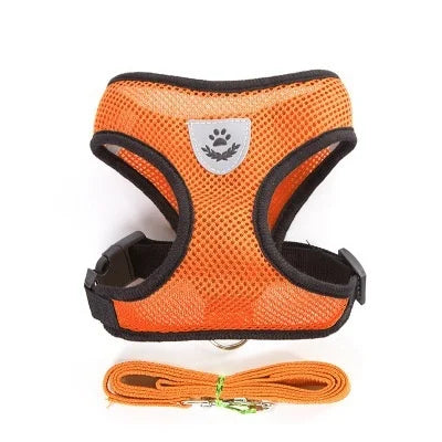 Adjustable Mesh Pet Harness & Lead