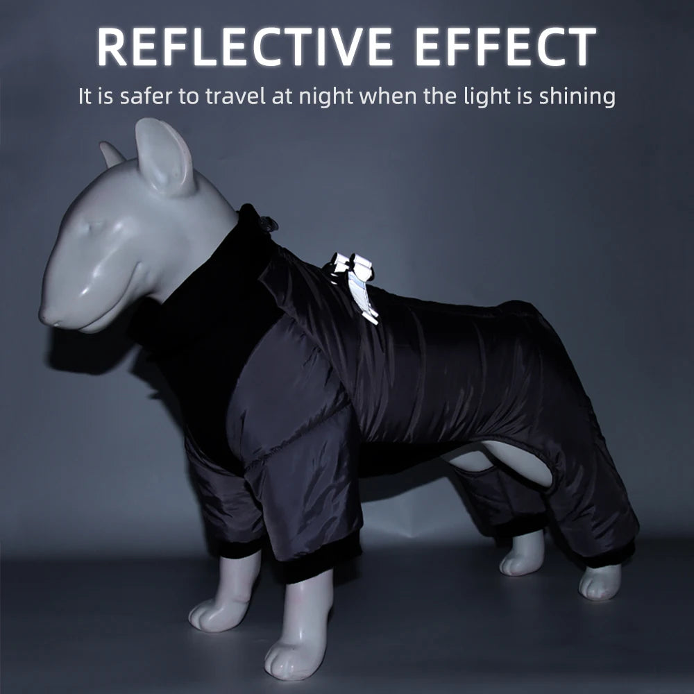 āļøš Winter Dog Jacket ā Warm & Waterproof