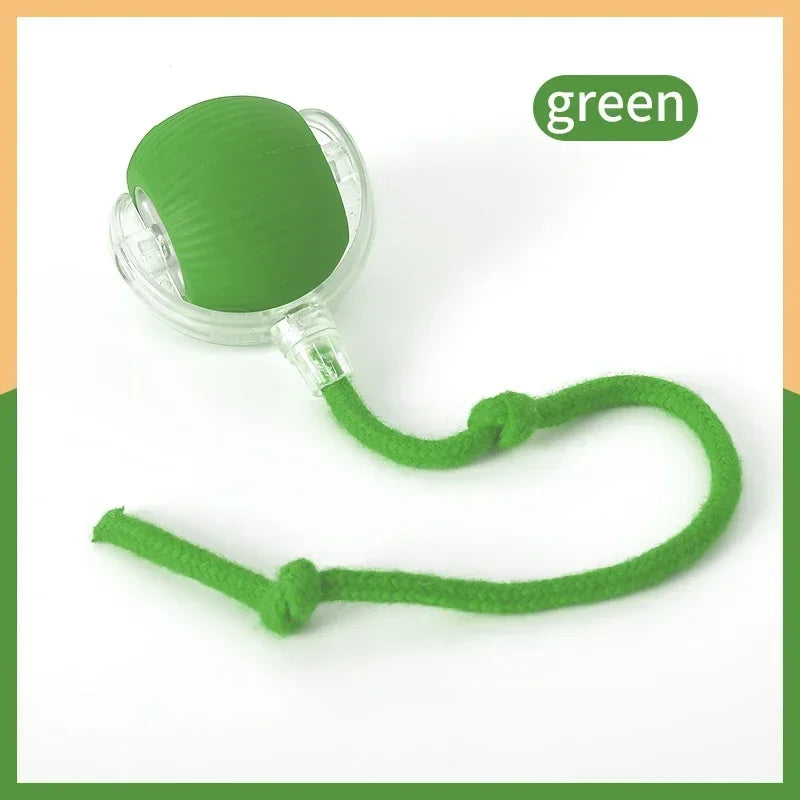 Automatic Rolling Cat Toy