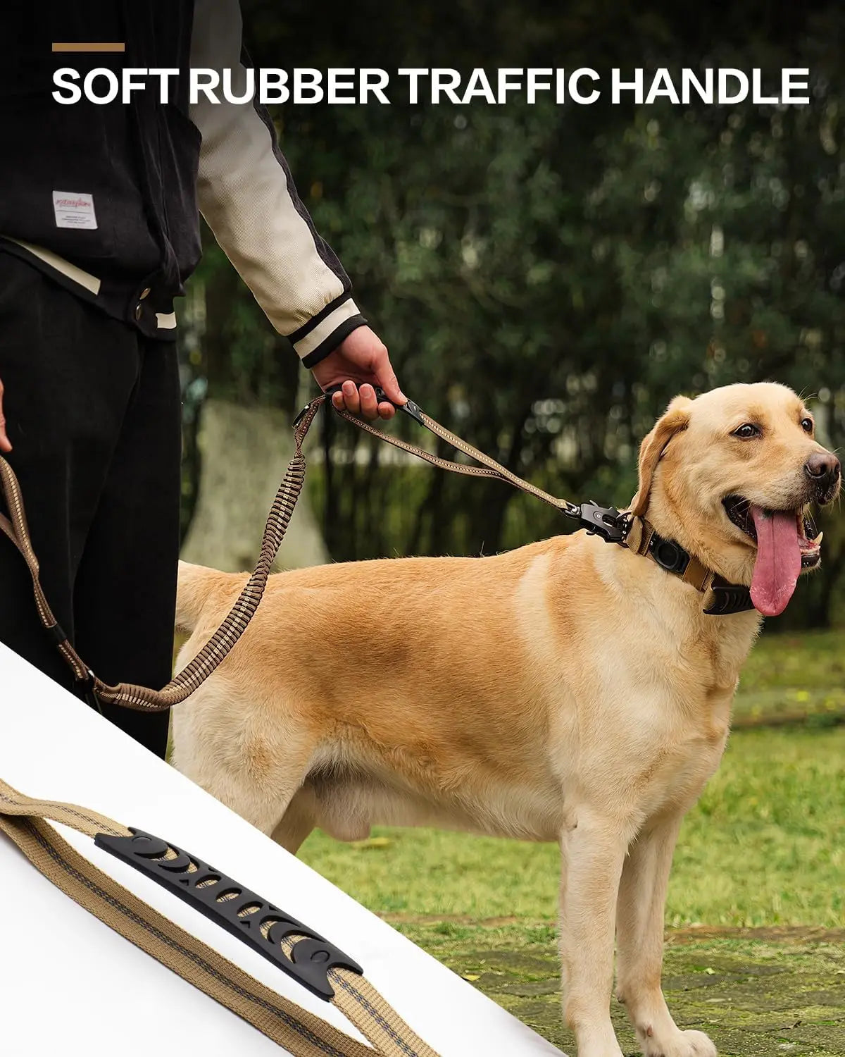 Reflective Shock Absorbing Dog Leash