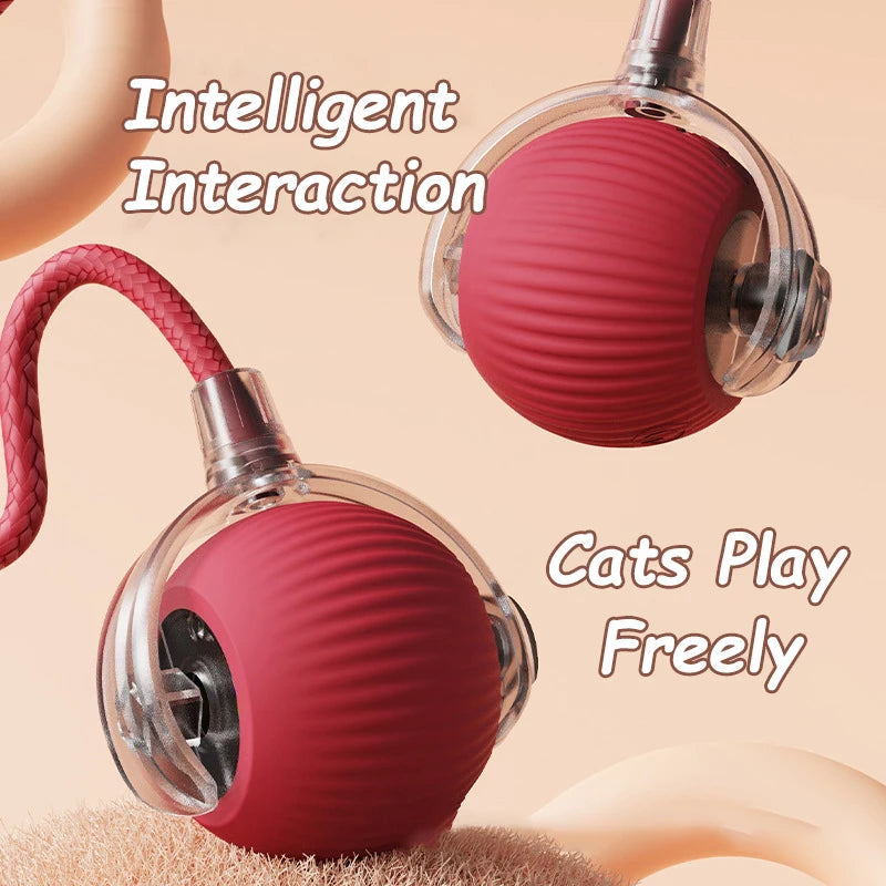 Automatic Rolling Cat Toy