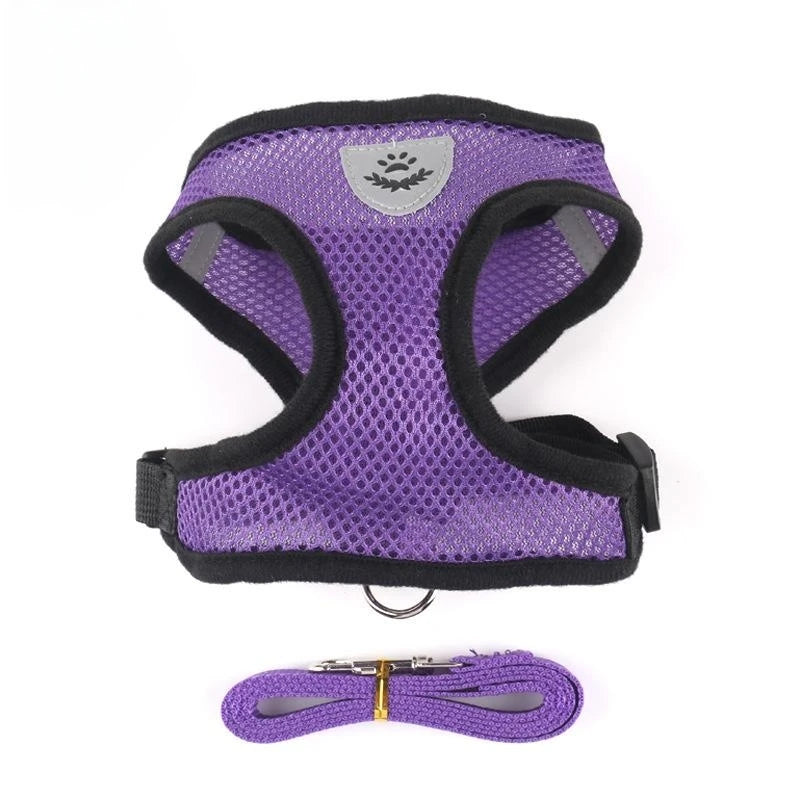 Adjustable Mesh Pet Harness & Lead