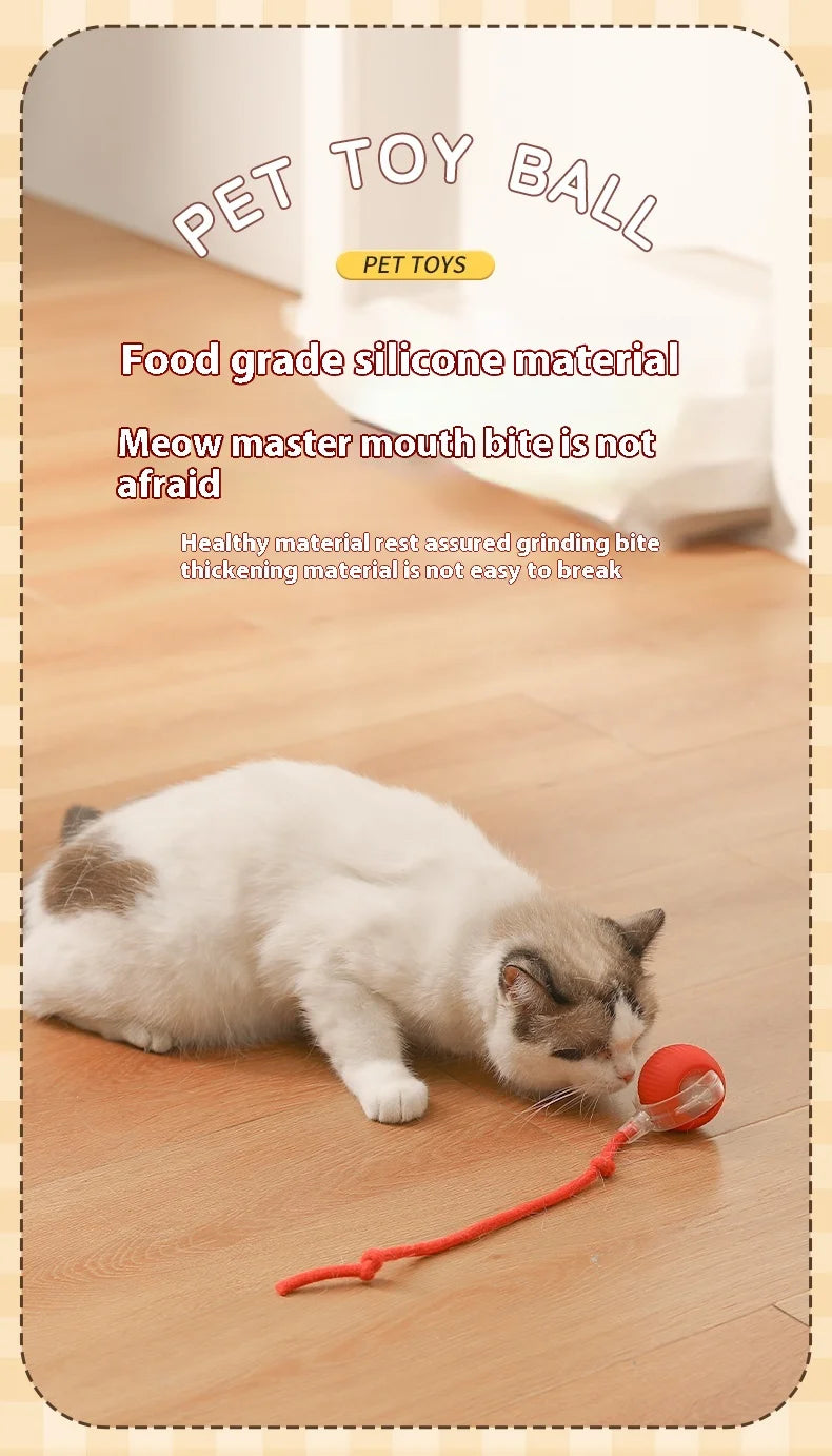 Automatic Rolling Cat Toy