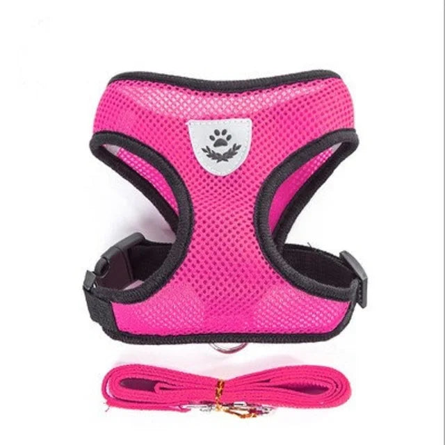 Adjustable Mesh Pet Harness & Lead