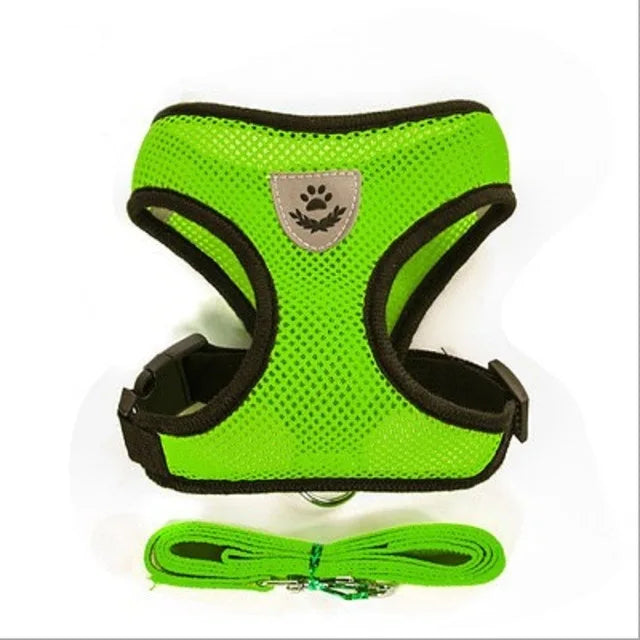 Adjustable Mesh Pet Harness & Lead