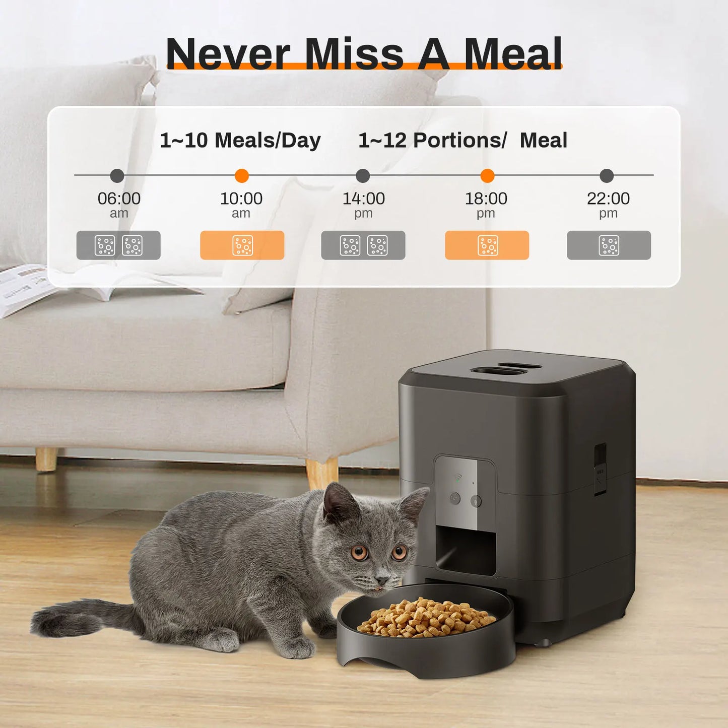 Automatic Cat & Dog Feeder
