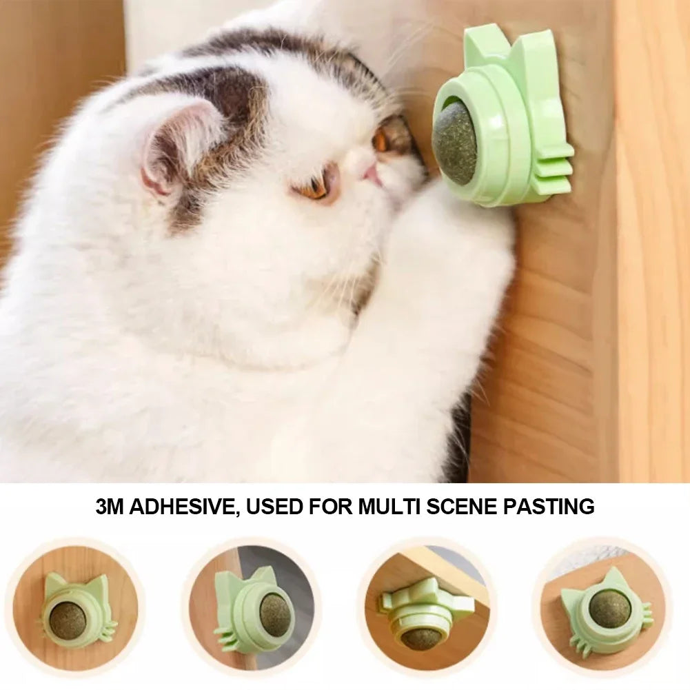 Catnip Lollipop Treat