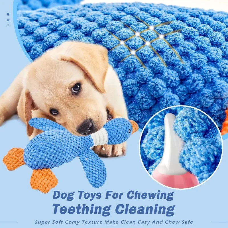 𦴠Indestructible Chew Toy