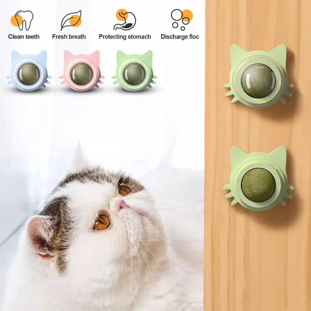 Catnip Lollipop Treat