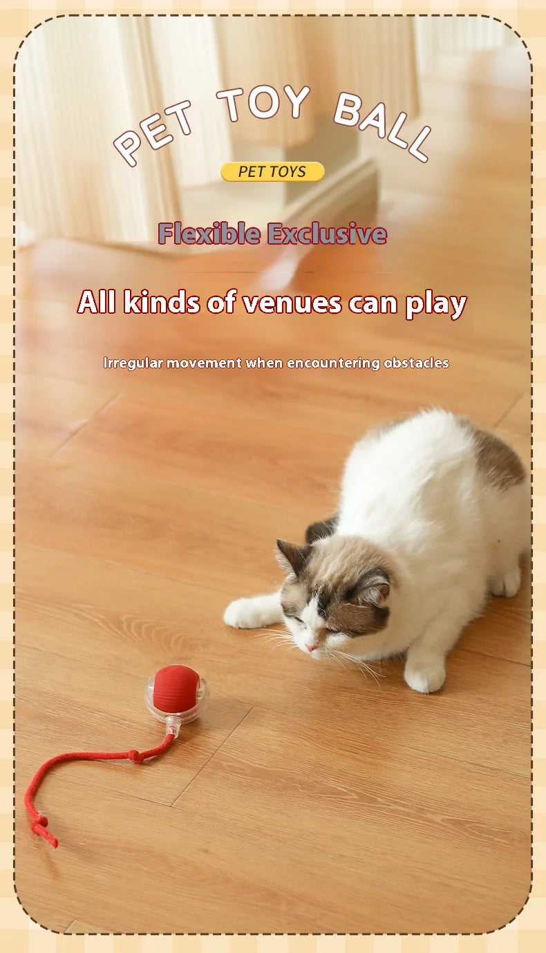 Automatic Rolling Cat Toy