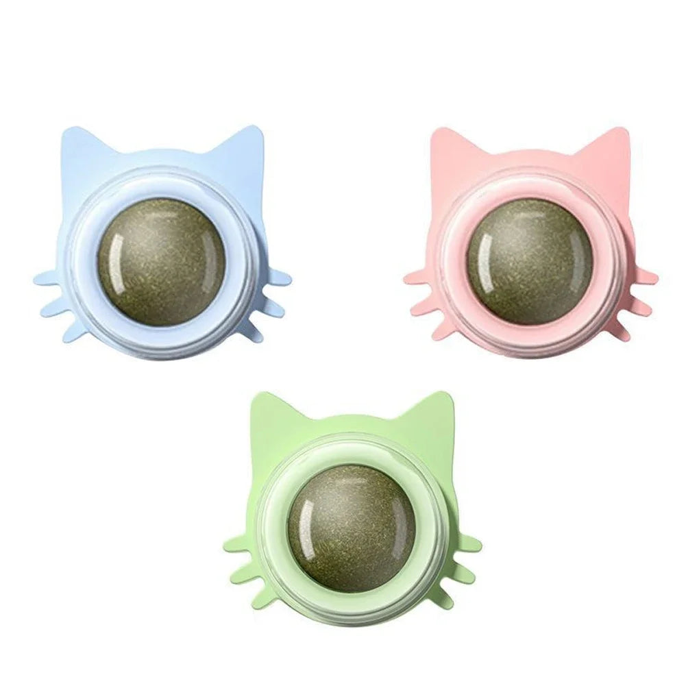 Catnip Lollipop Treat