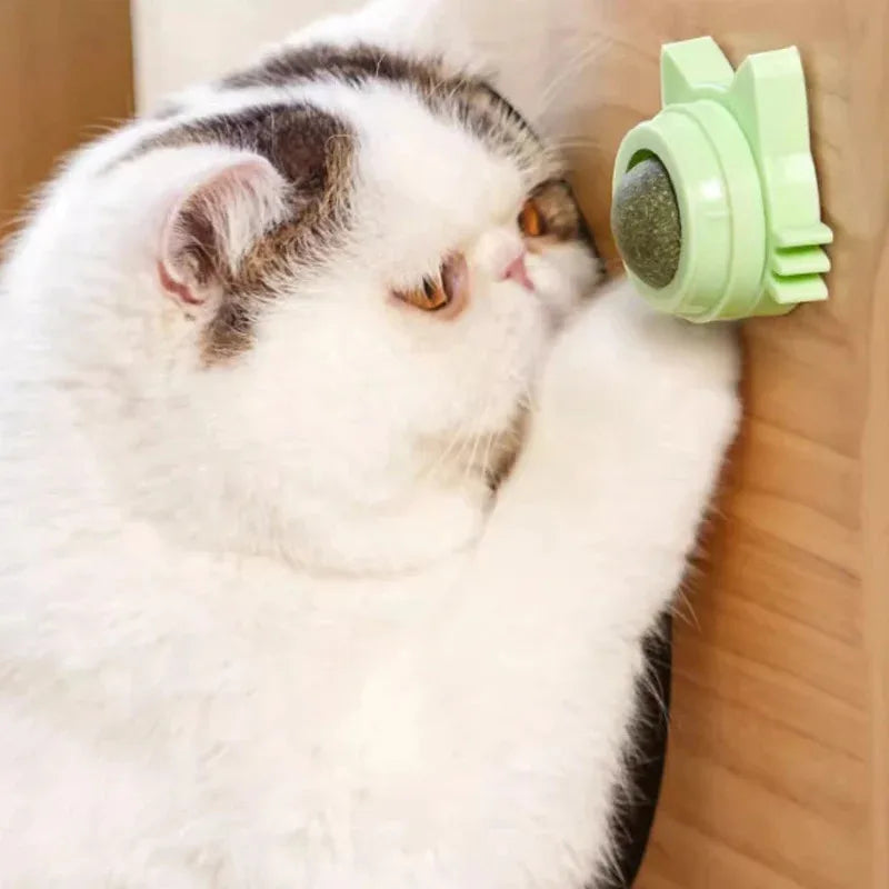 Catnip Lollipop Treat