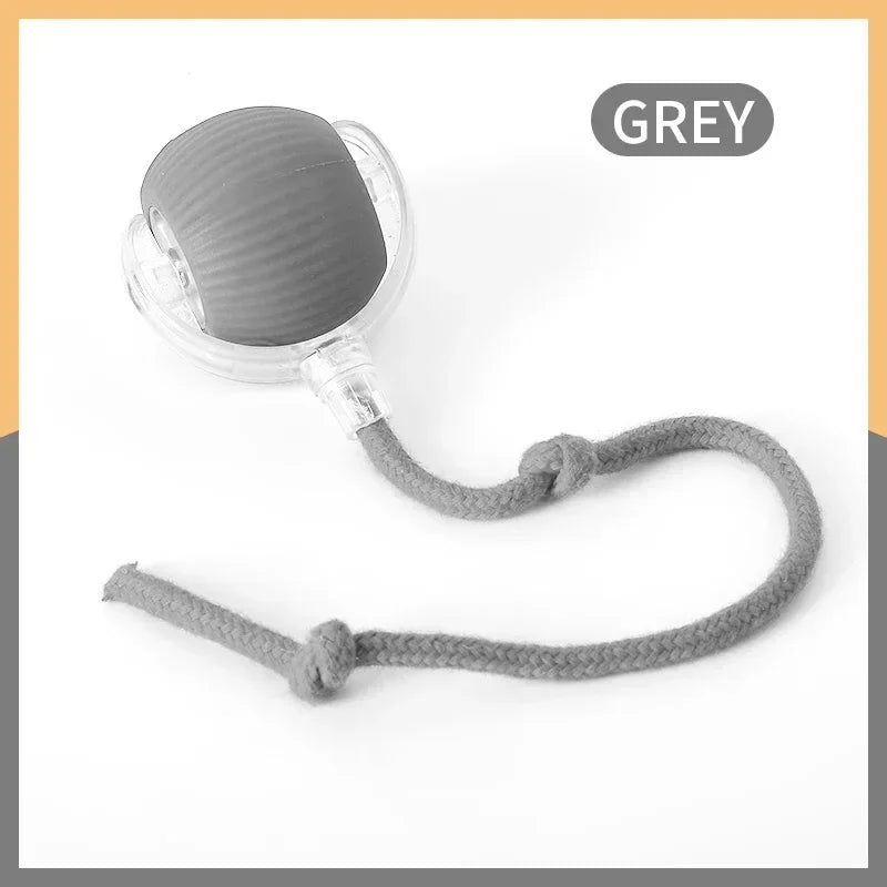 Automatic Rolling Cat Toy