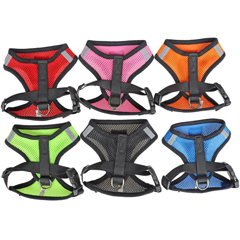 Adjustable Mesh Pet Harness & Lead