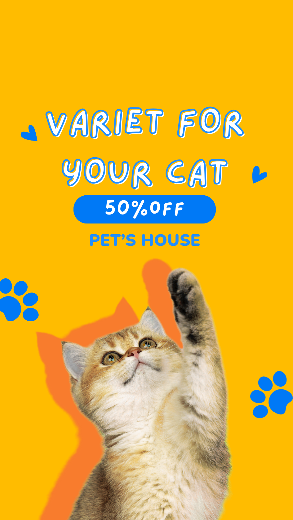 🐈 CAT