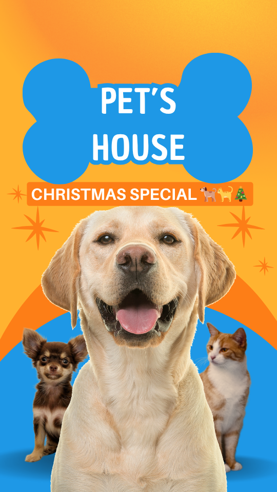 CHRISTMAS SPECIAL 🐕🐈🎄