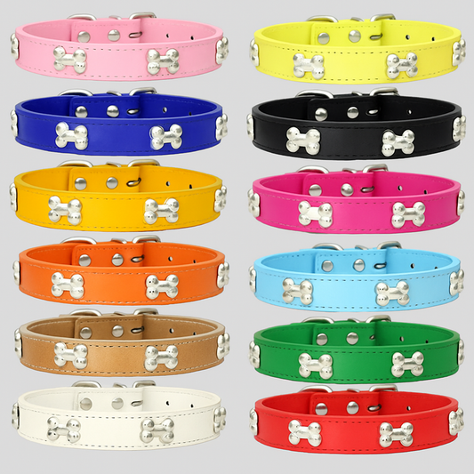 Durable Bone Design Leather Dog Collar 🐶🐾