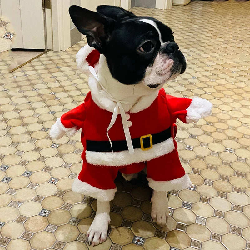 Santa Outfit For Pets