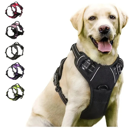 Dog Collars, Harness & Leash Set