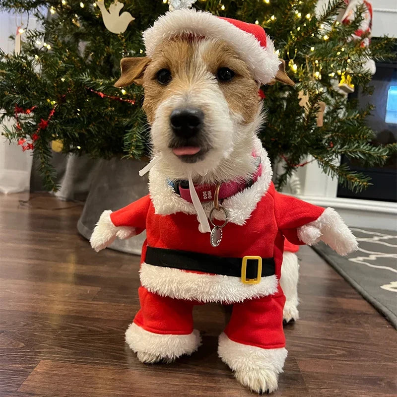 Santa Outfit For Pets