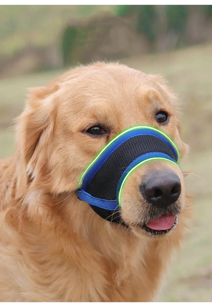 🐶 Dog Muzzle – Anti-Bite & Bark