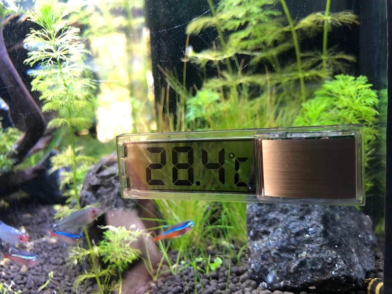 Digital LCD Aquarium Thermometer