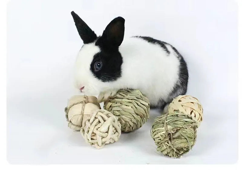 Natural Grass Chew Balls (4/5pcs)