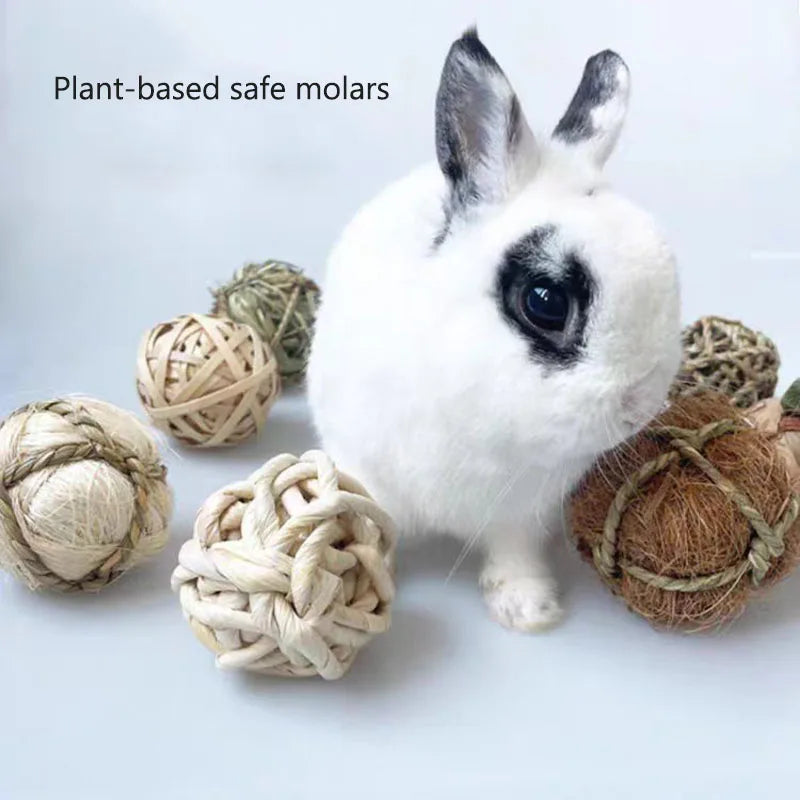 Natural Grass Chew Balls (4/5pcs)