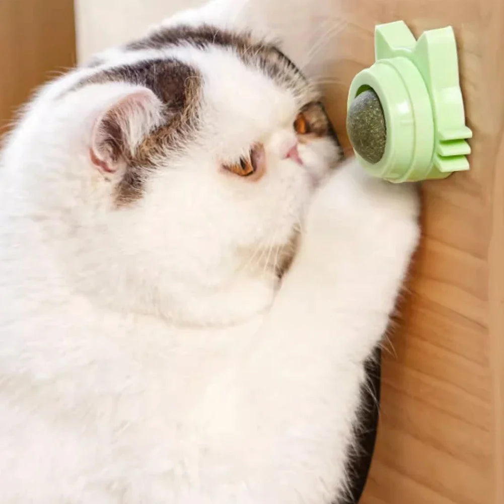 Catnip Lollipop Treat