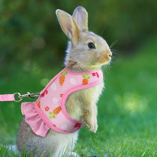Rabbit Harness & Lead Set – Radish Print