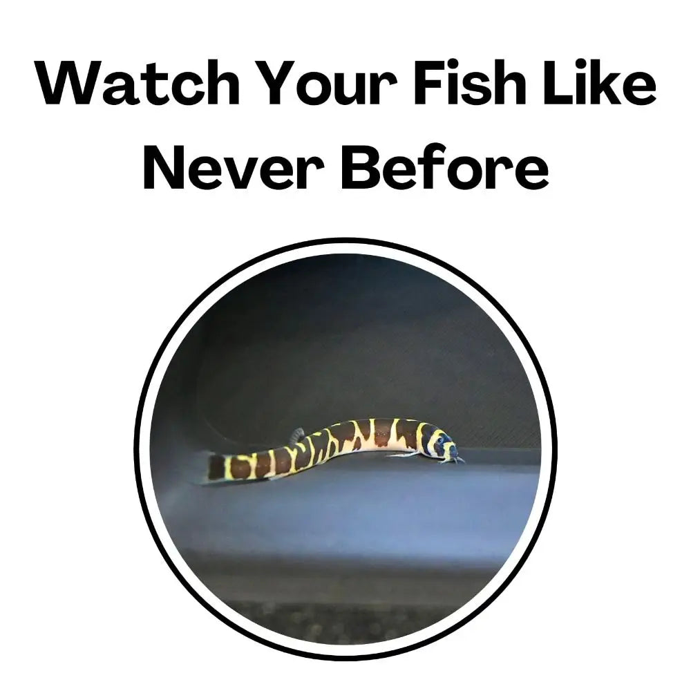 Aquarium Underground Tunnel Cave Decoration