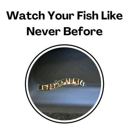 Aquarium Underground Tunnel Cave Decoration