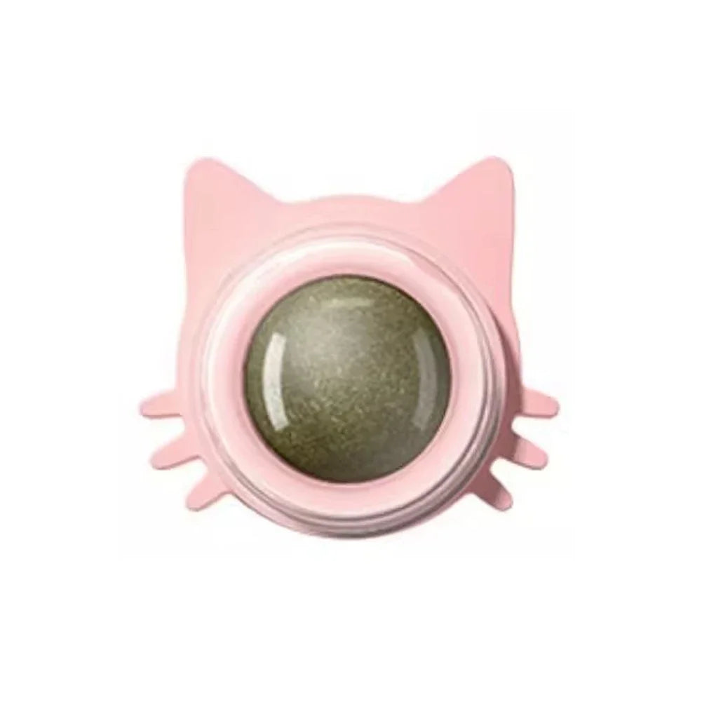 Catnip Lollipop Treat