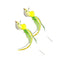 Yellow-Only-2Bird