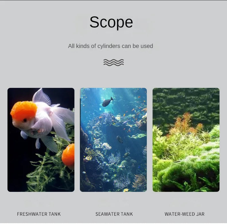 Digital LCD Aquarium Thermometer