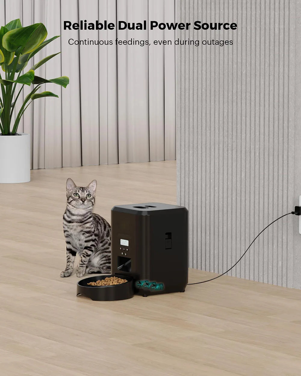 Automatic Cat & Dog Feeder