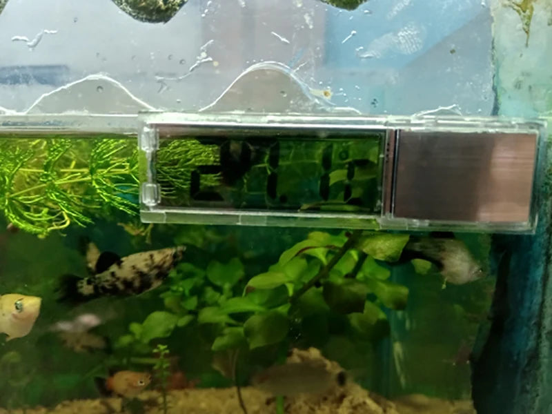 Digital LCD Aquarium Thermometer
