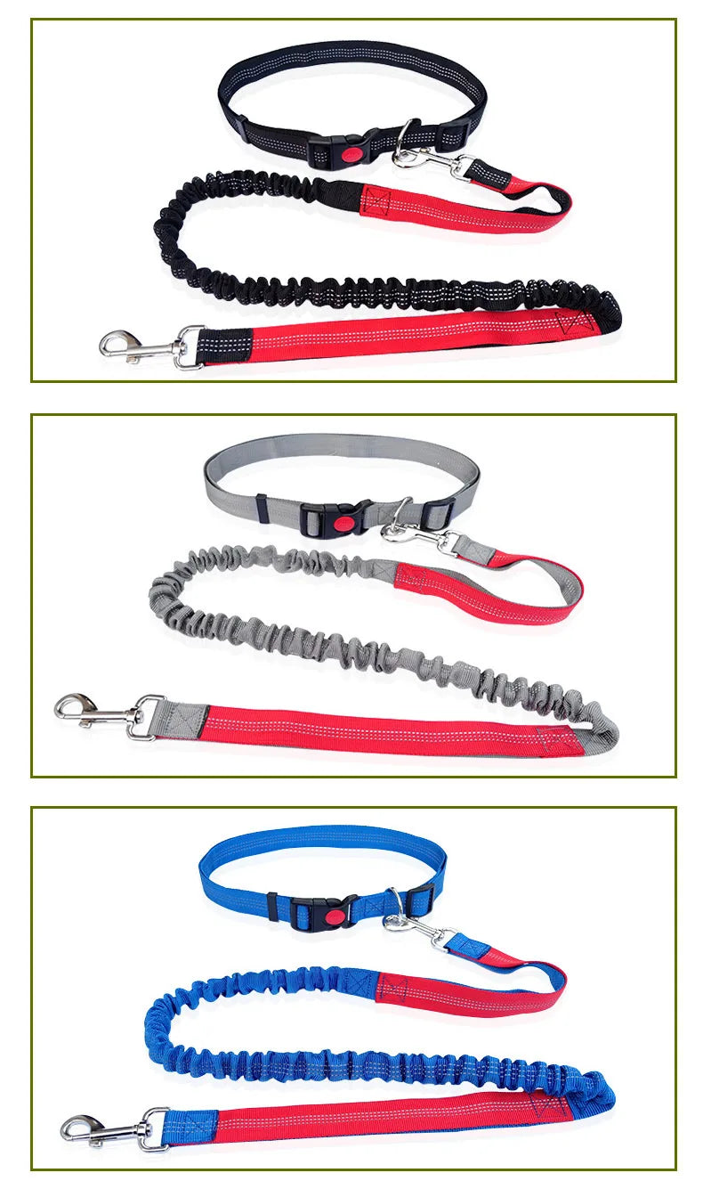 Hands-Free Dog Leash