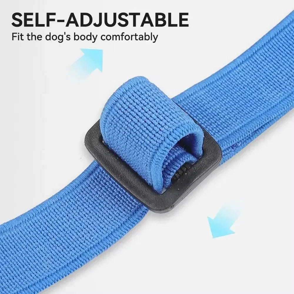 🐶 Dog Muzzle – Anti-Bite & Bark
