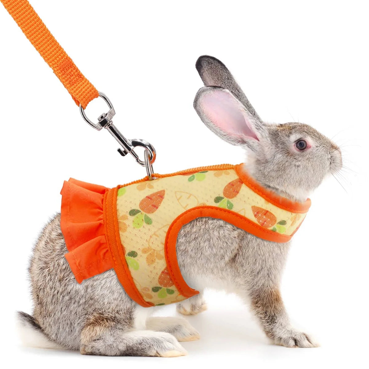 Rabbit Harness & Lead Set – Radish Print