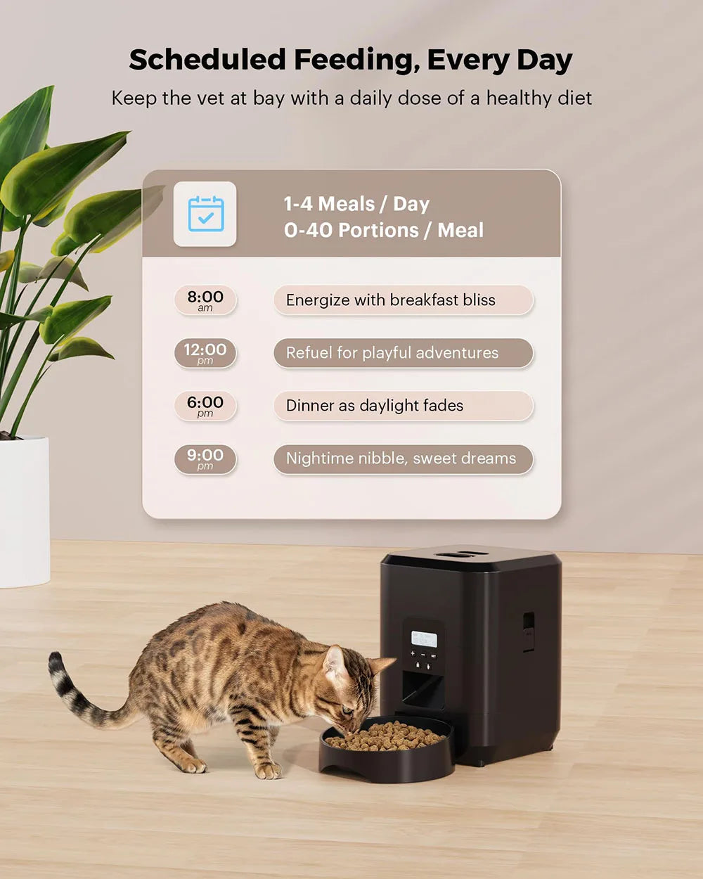 Automatic Cat & Dog Feeder