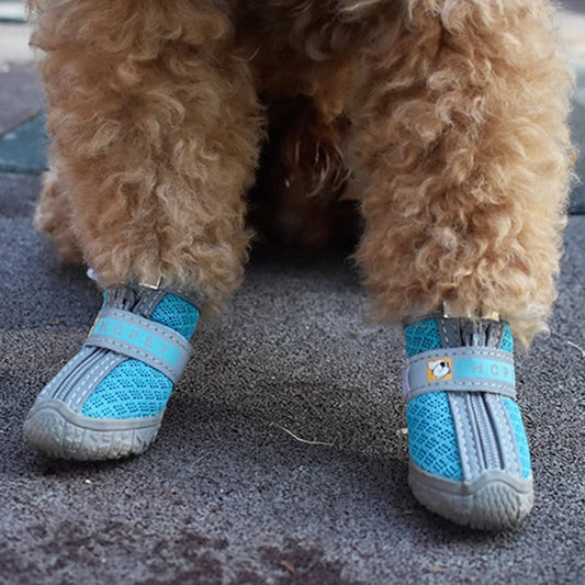 👟🐕 Warm Dog Shoes – Non-Slip & Protective