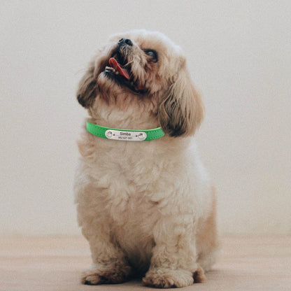Personalised PU Leather Dog Collar