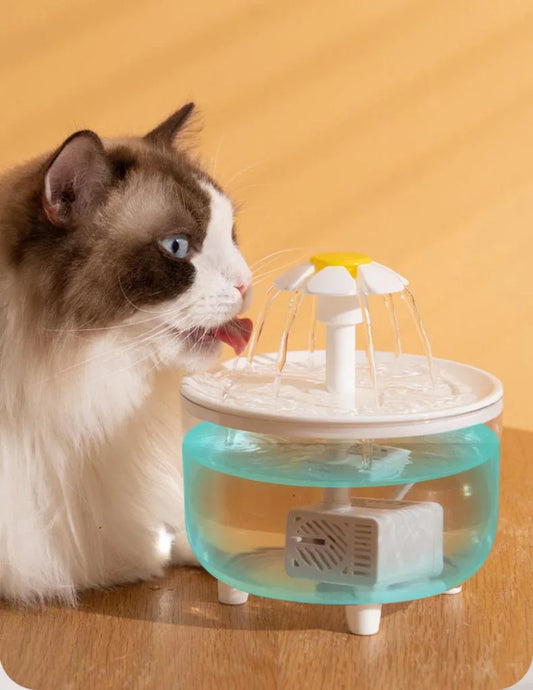 USB Electric Cat Water Fountain