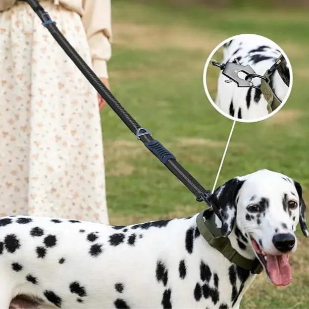 Reflective Shock Absorbing Dog Leash