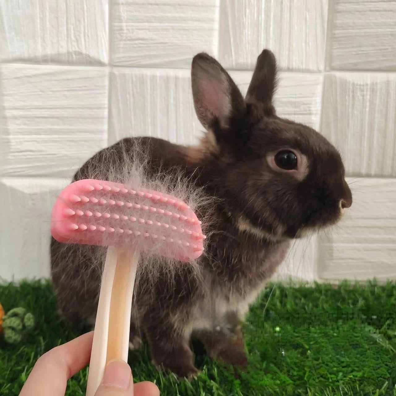 Silicone Pet Comb for Rabbits & Small Animals