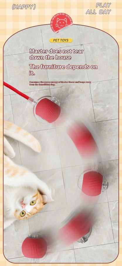 Automatic Rolling Cat Toy