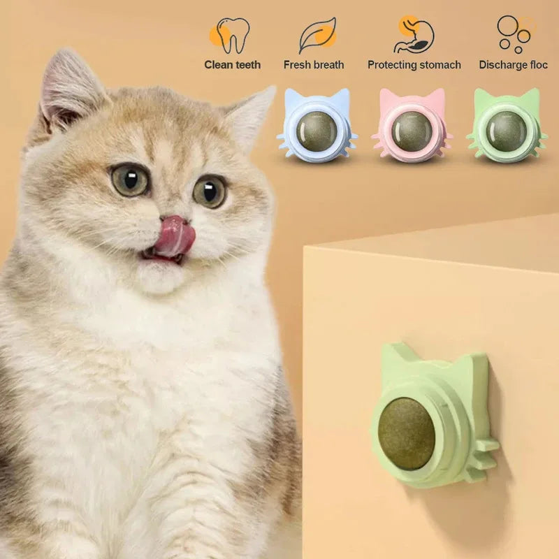 Catnip Lollipop Treat