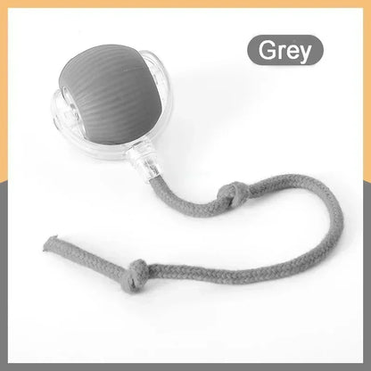 Speedy Tail 2.0 Cat Toy