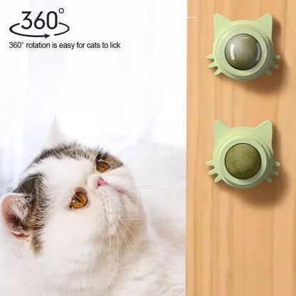 Catnip Lollipop Treat